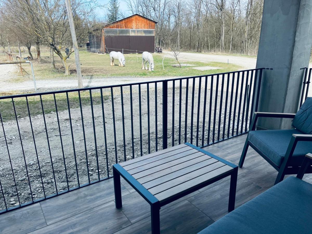Apartment Country House Zaton Tisina Eksteriør bilde